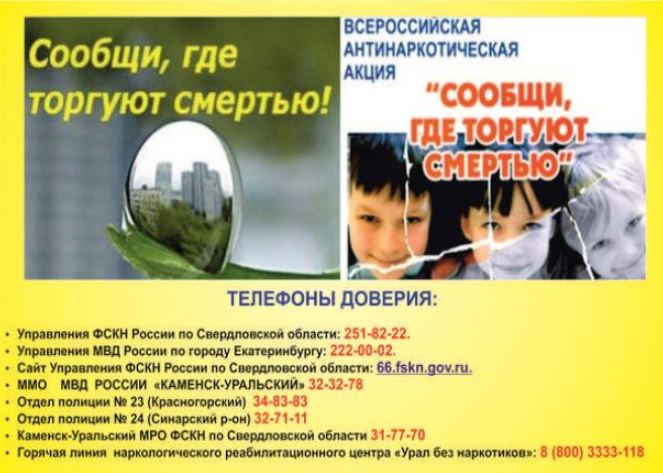 Сообщи, где торгуют смертью 2019