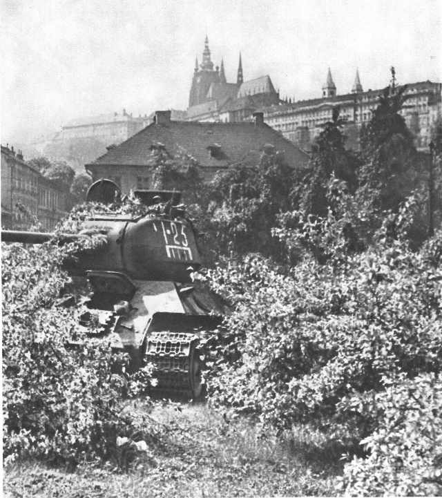 4di33I-yNOE.jpg