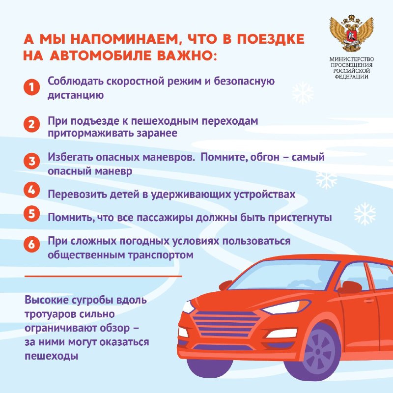 Перевозка в автомобиле.jpg